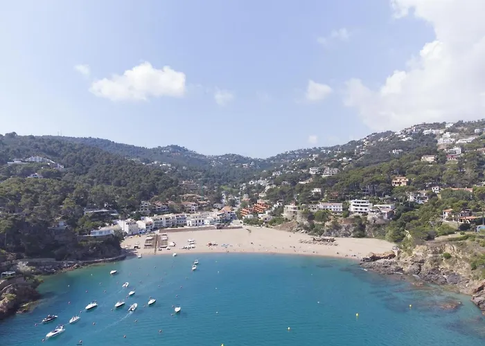 Sa Punta Negra * Begur